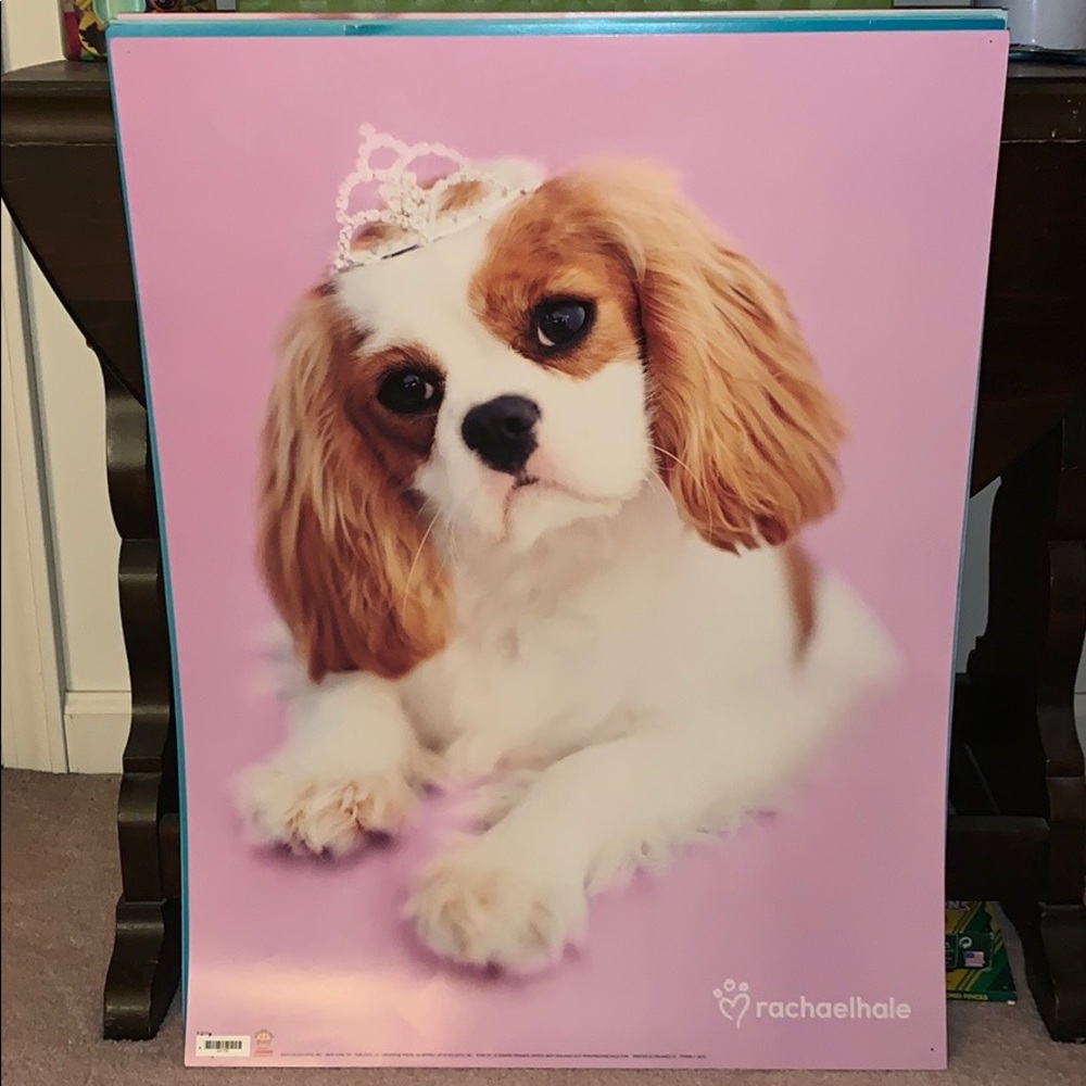 Dog Poster